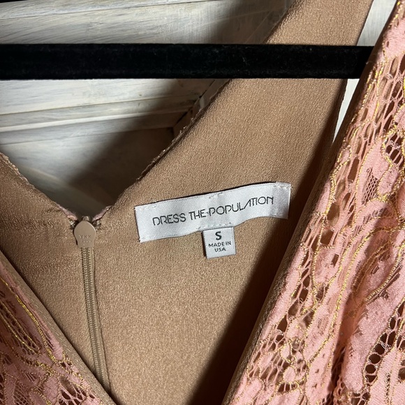 Dress The Population Melina Lace Maxi Gown Rose Petal Plunge Cocktail Formal - Picture 10 of 12